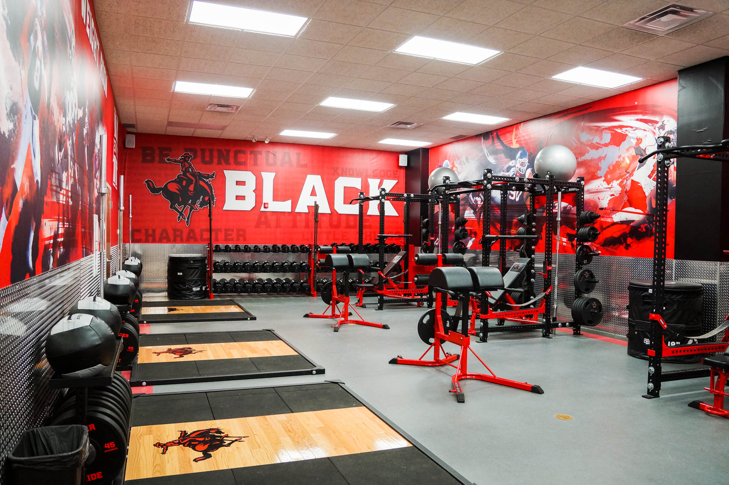 Wall Graphics - Athletic - MagicFab®