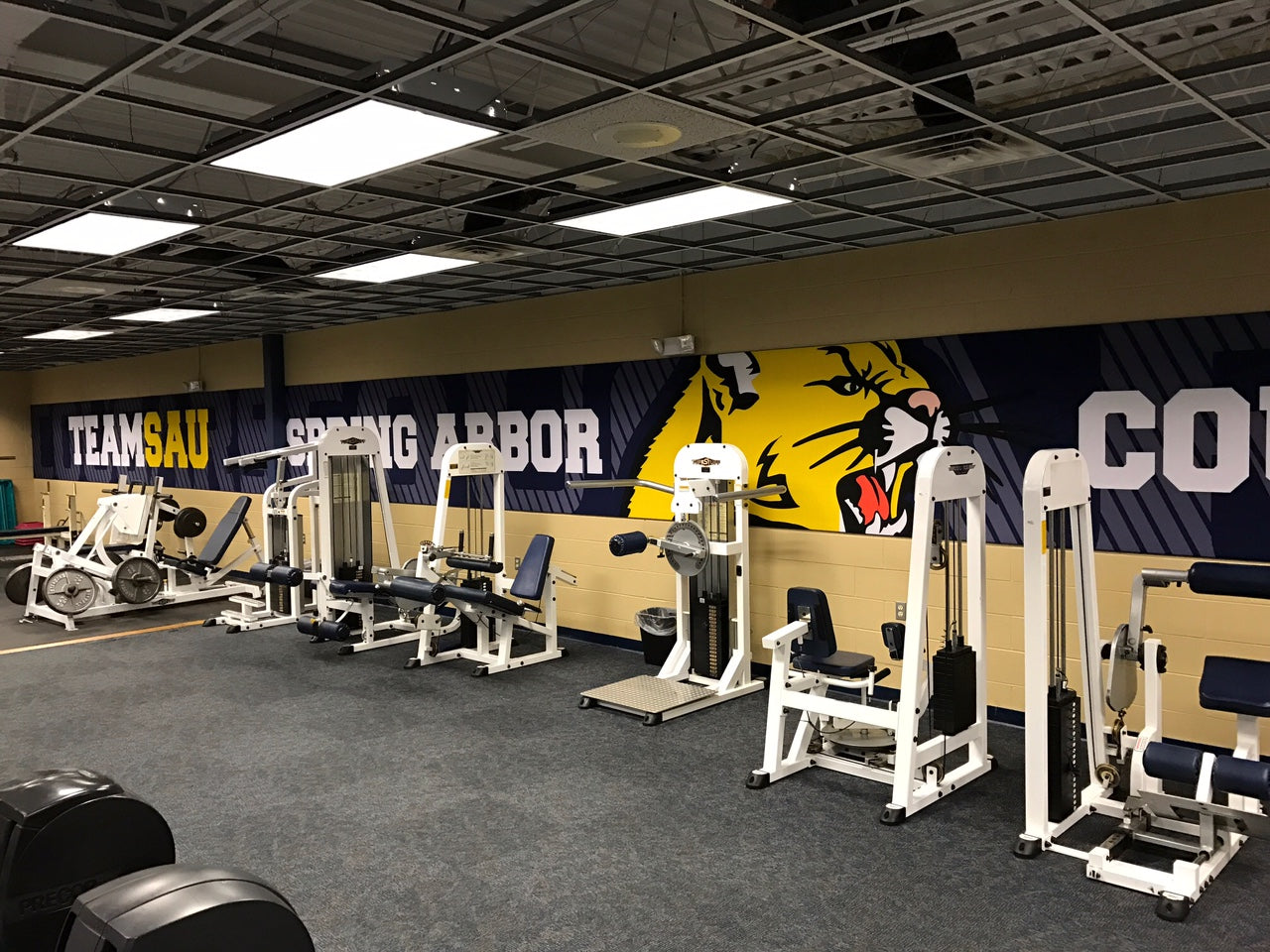 Wall Graphics - Athletic - Wonderwall®