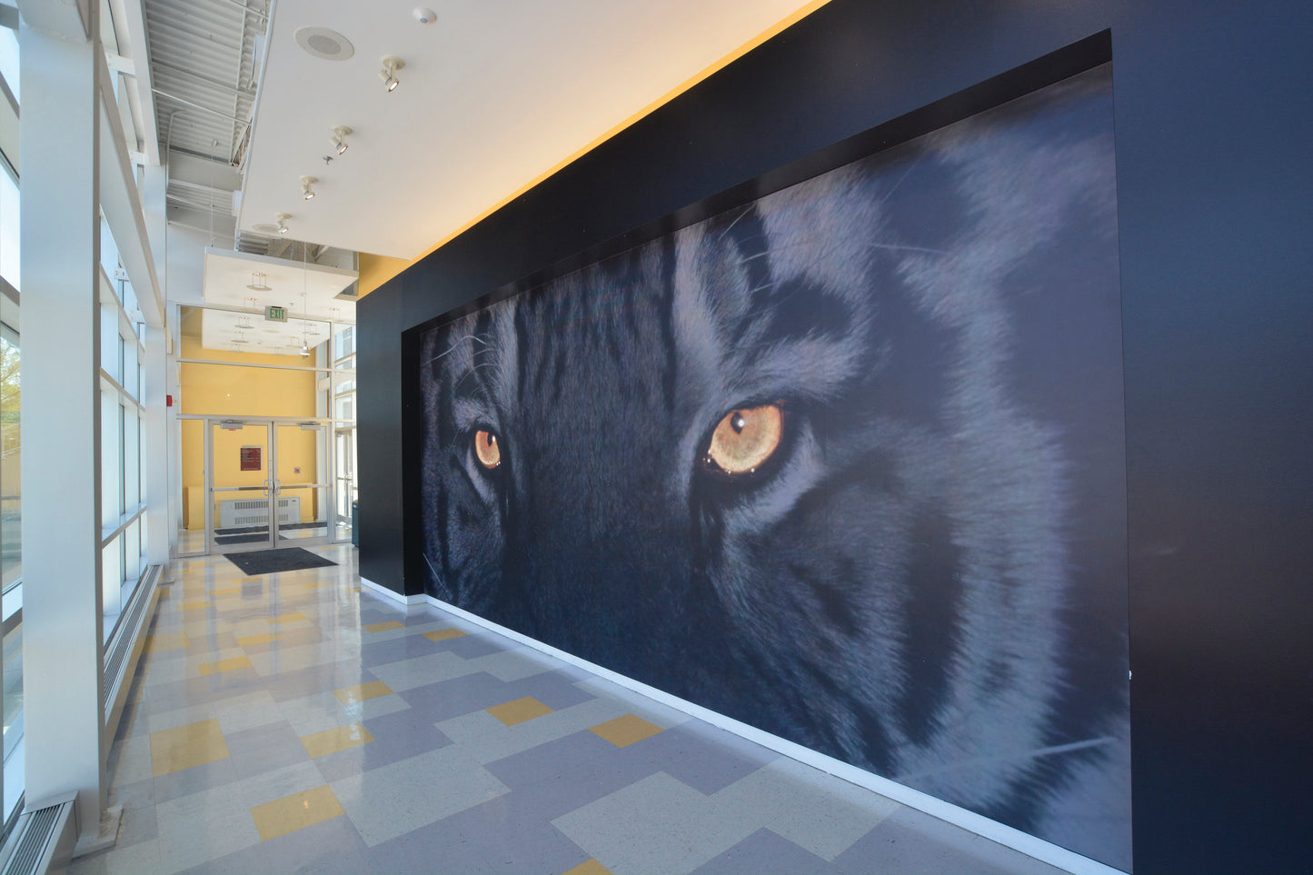 Wall Graphics - Athletic - MagicFab®