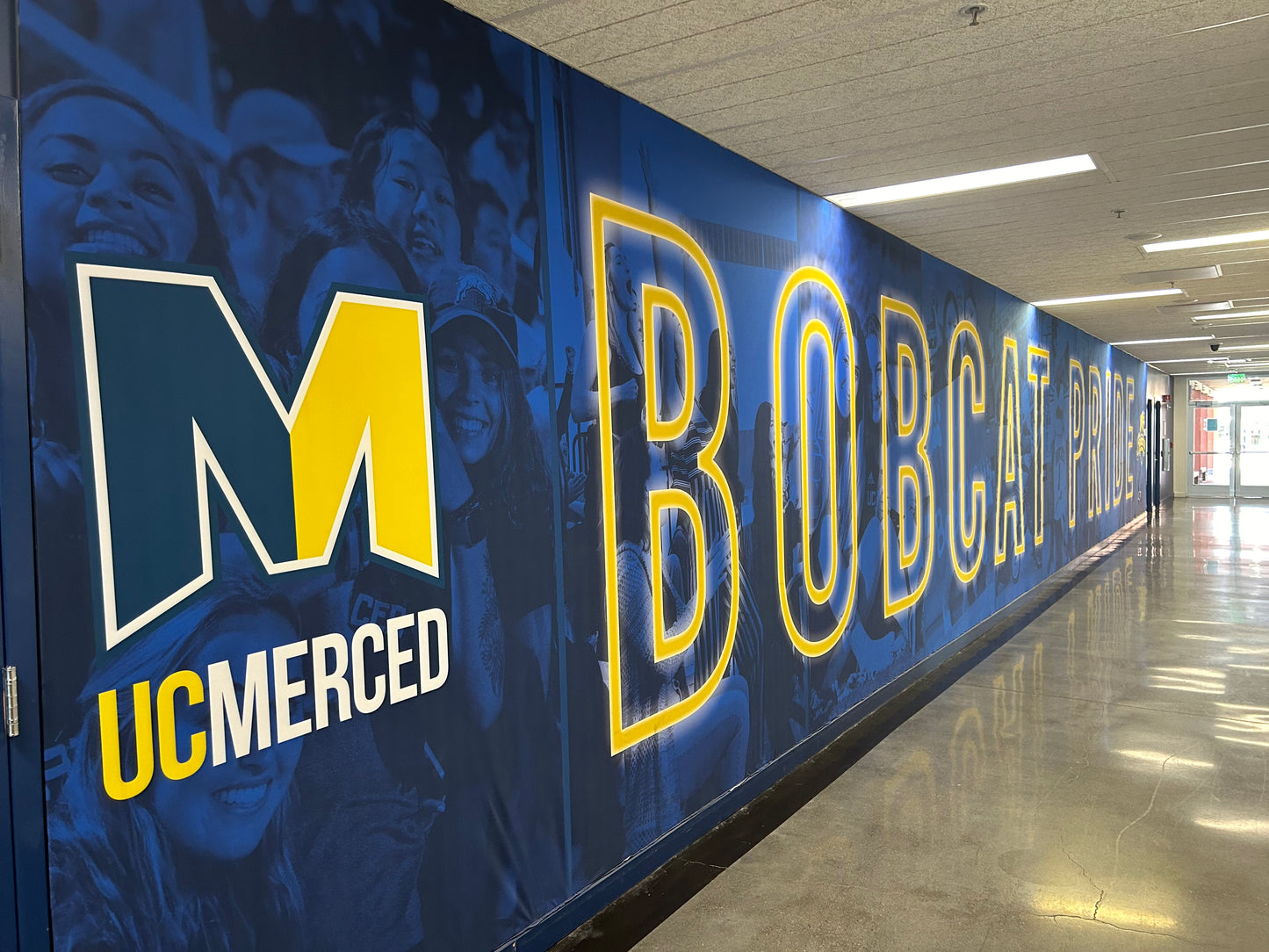 Wall Graphics - Athletic - Wonderwall®