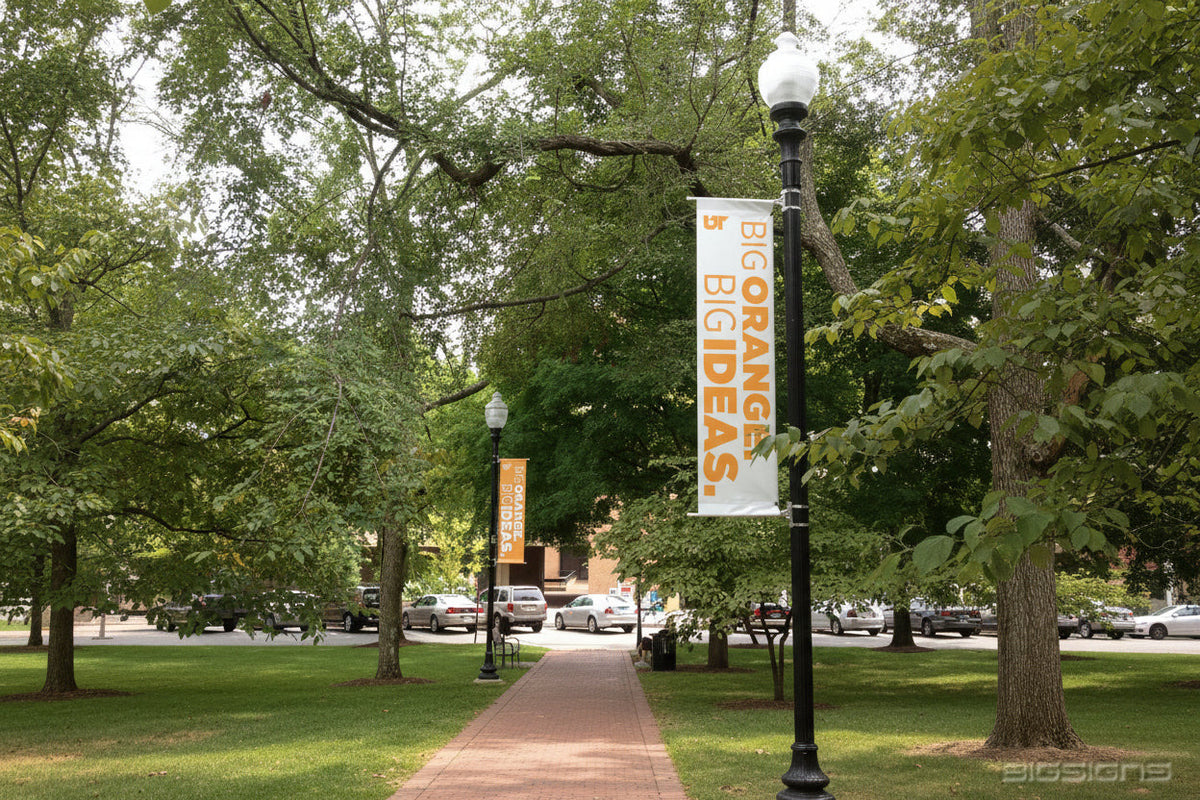 Orange and white Big Ideas pole banners on lampposts along a tree-lined campus path
