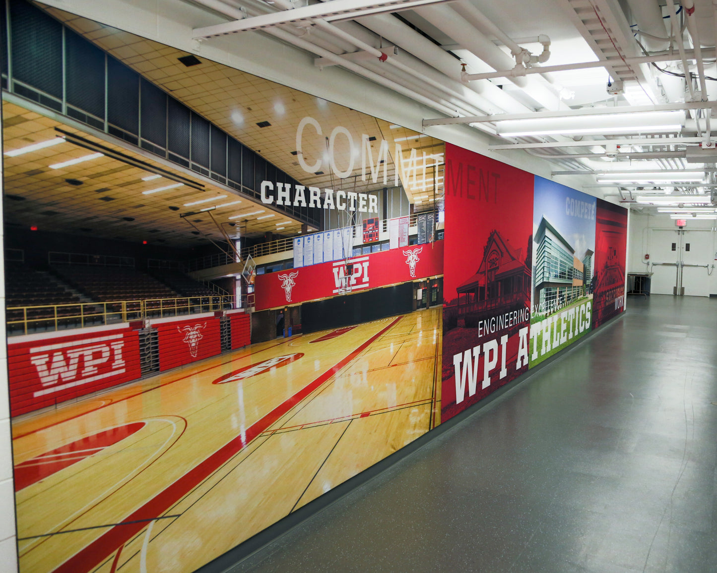 Wall Graphics - Athletic - Wonderwall®