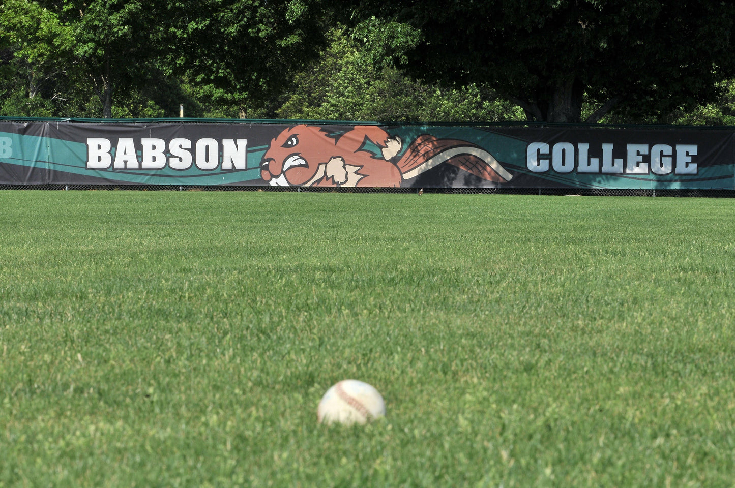 Fence Screen - Baseball & Softball - DuraScreen84®