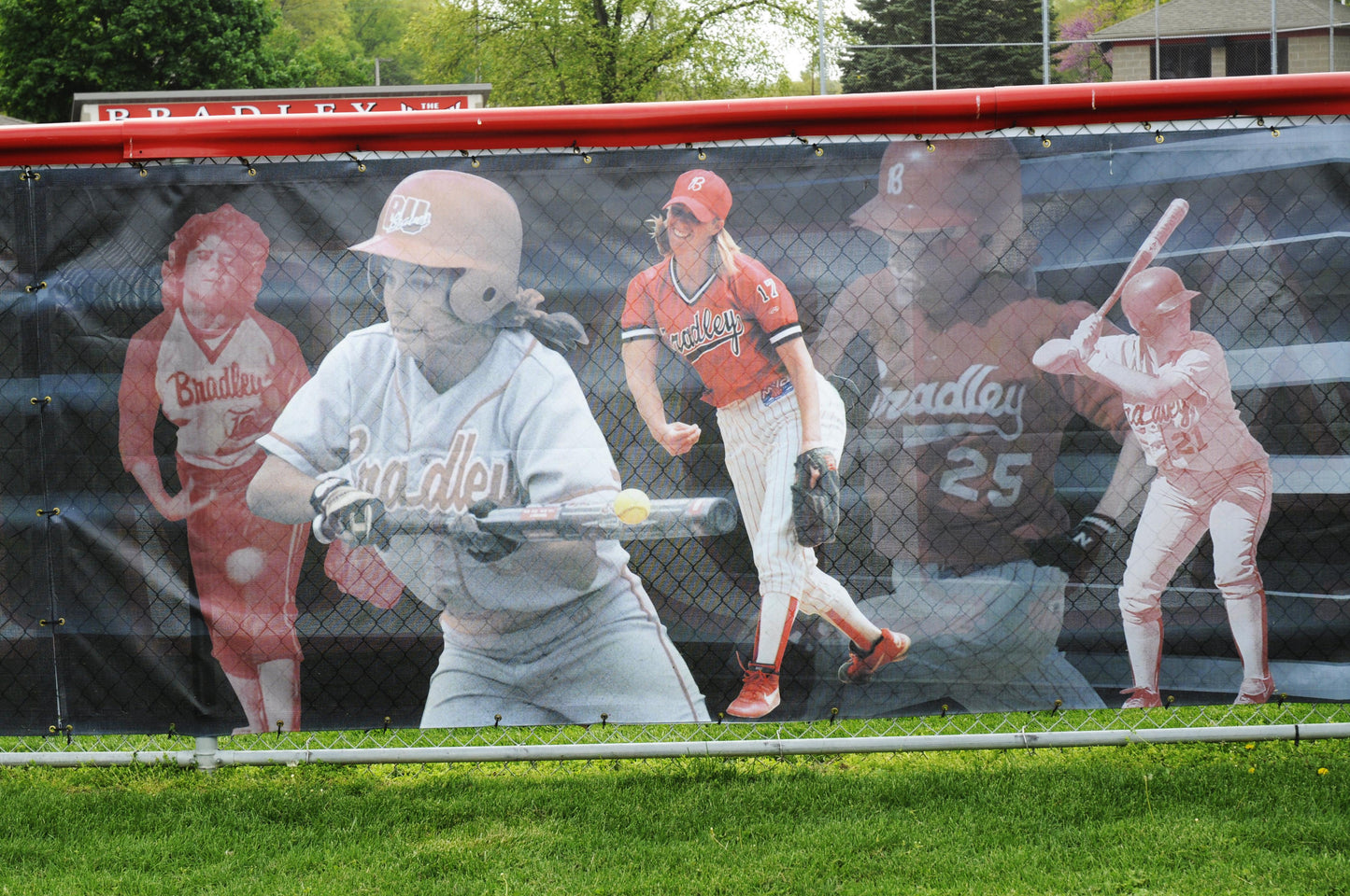Fence Screen - Baseball & Softball - DuraScreen84®