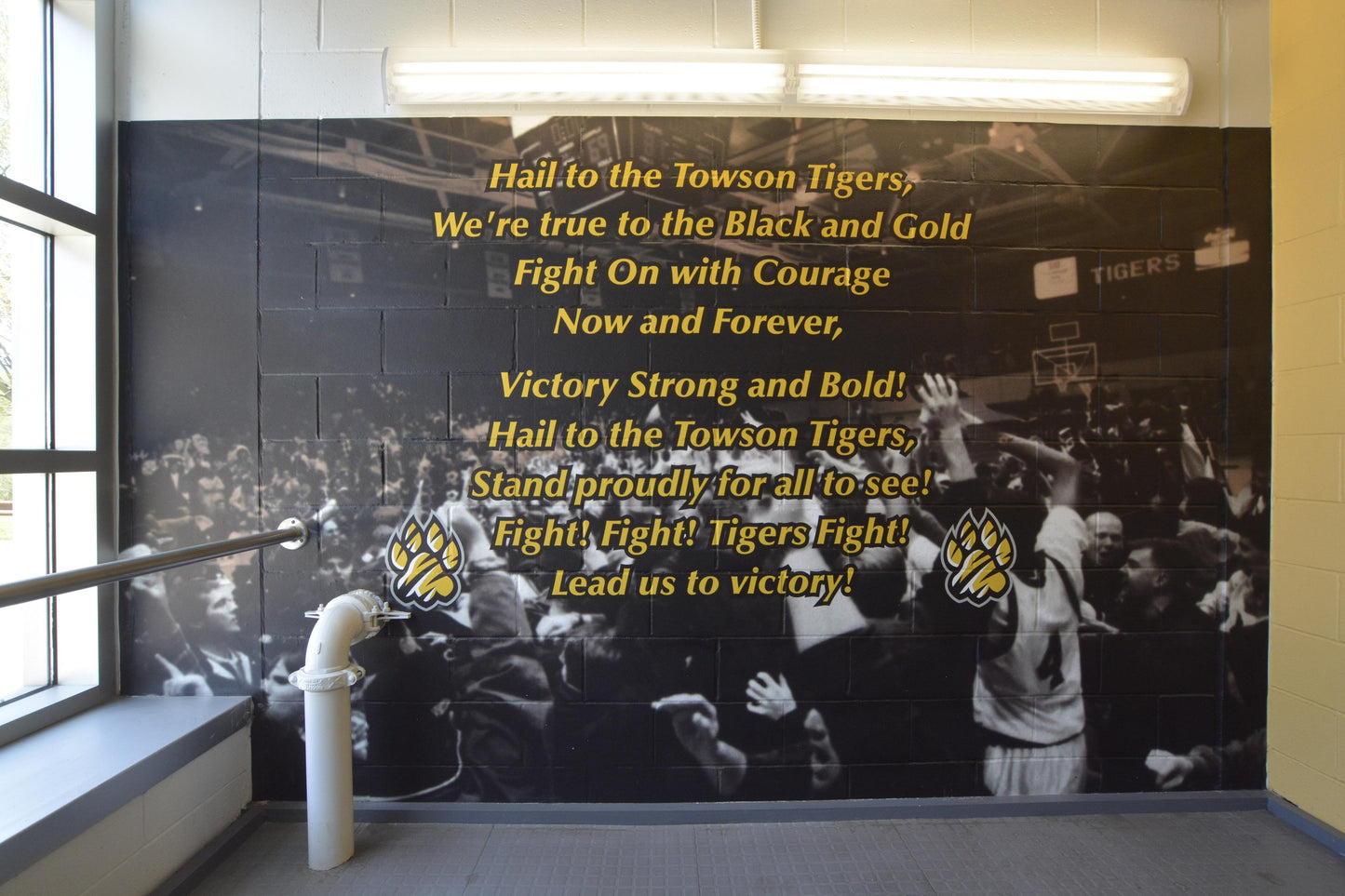 Wall Graphics - Athletic - BlockWrap®