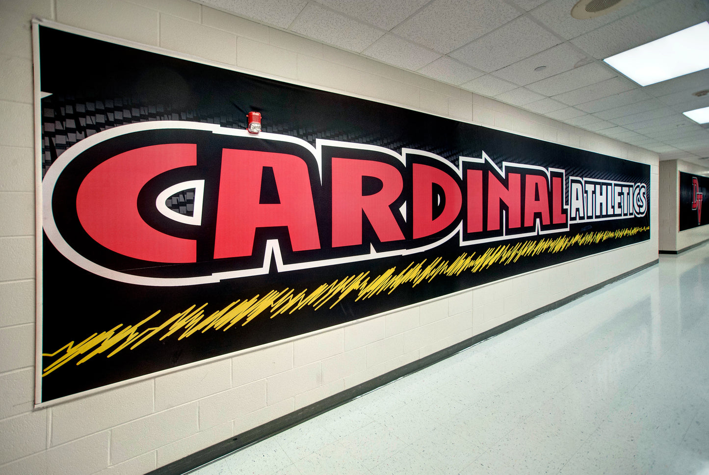 Wall Graphics - Athletic - ClipGrip®