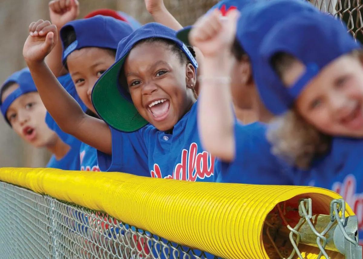 Fence Crown - Baseball & Softball