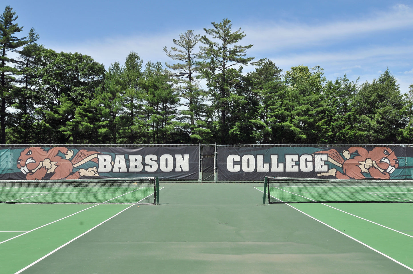 Fence Screen - Tennis - DuraMesh®