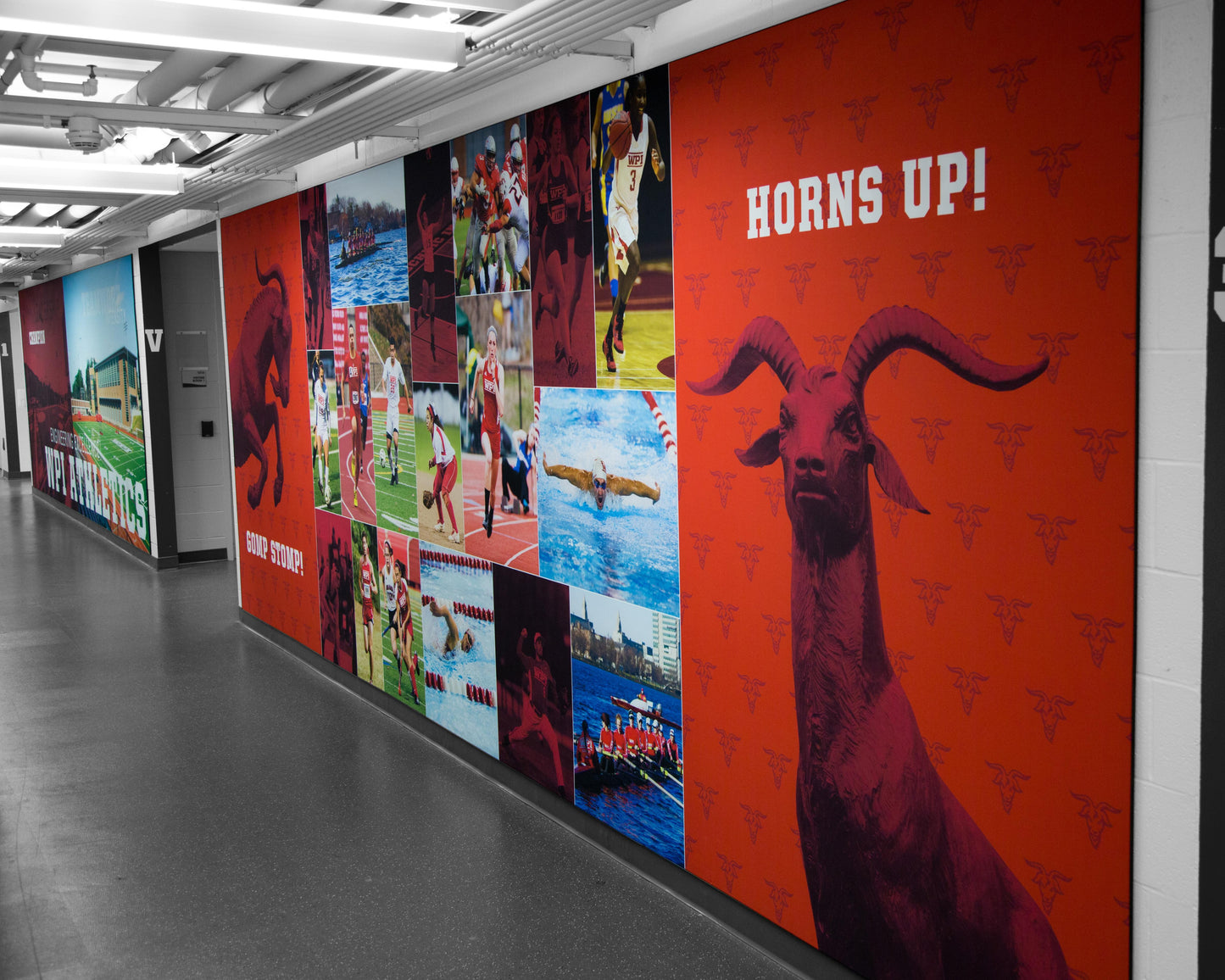 Wall Graphics - MagicFab®
