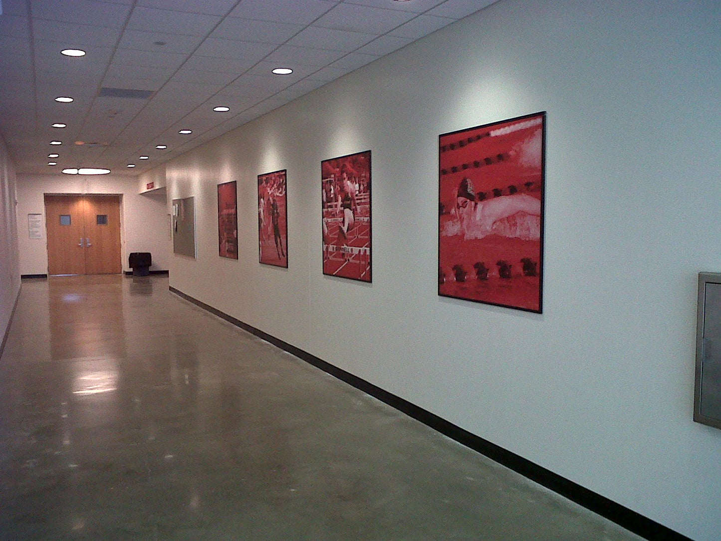 Wall Graphics - MagicFab®