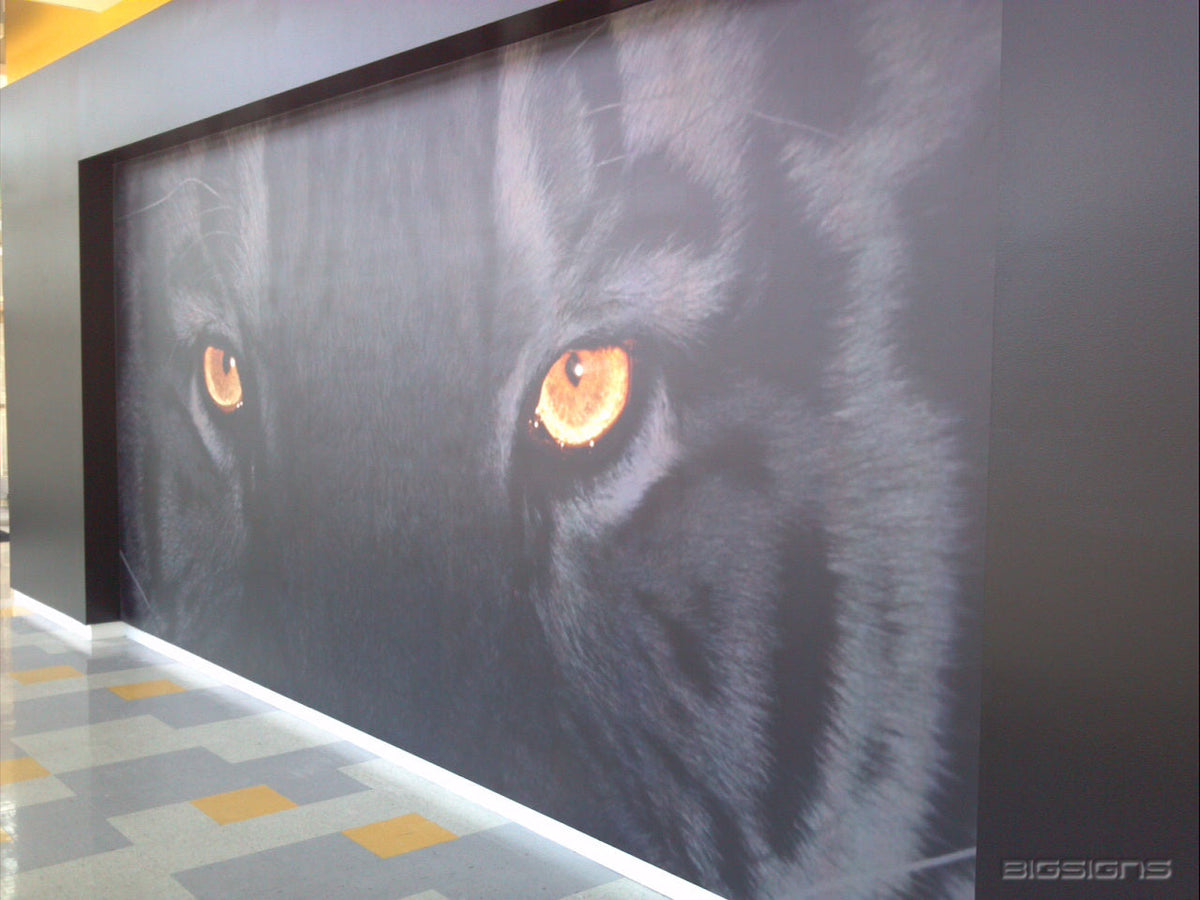 Close-up black panther eyes fabric wall graphic in a modern hallway
