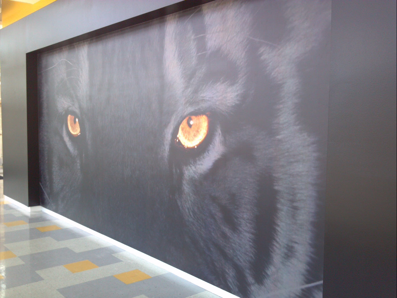 Wall Graphics - Wonderwall®