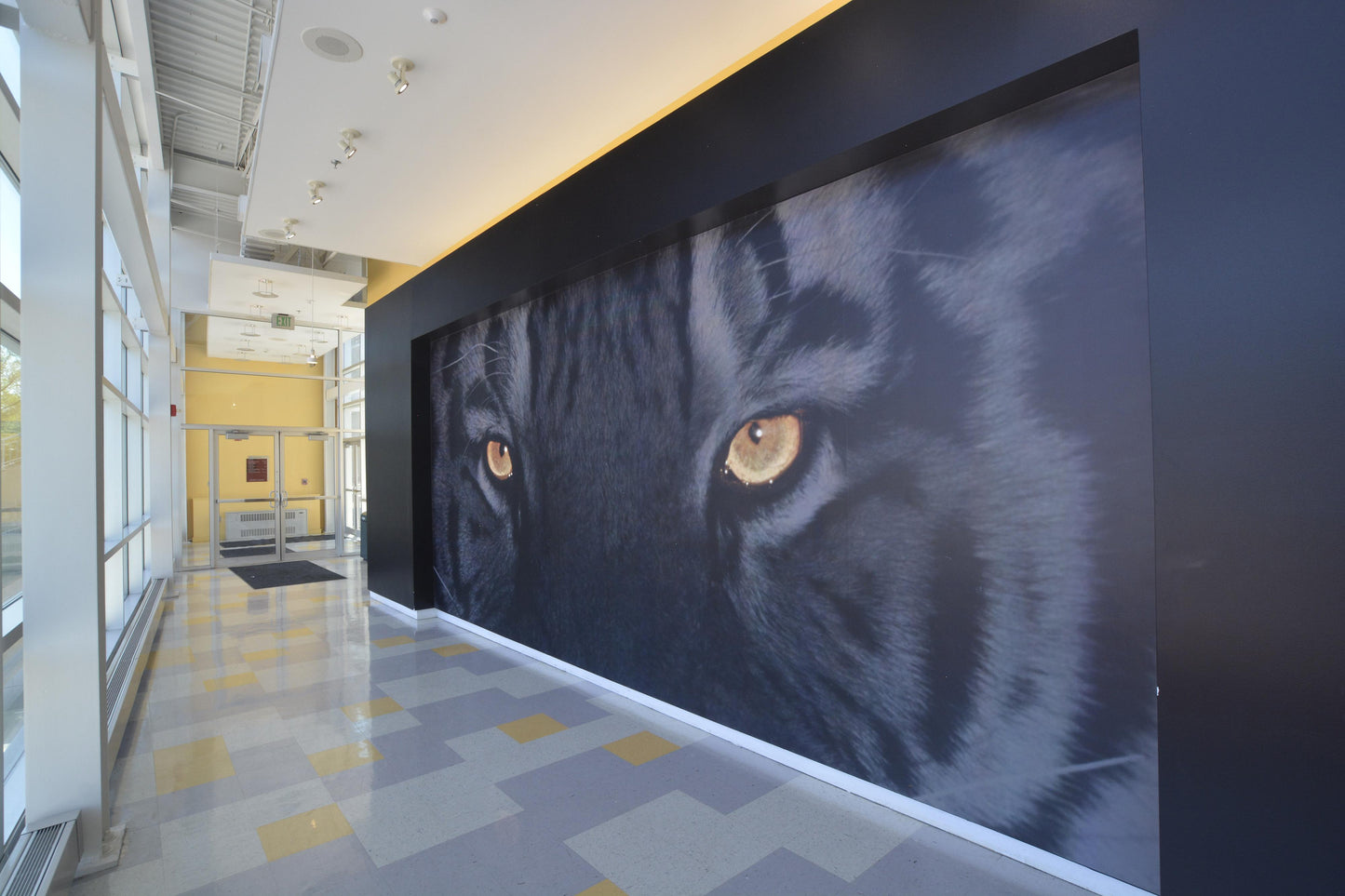 Wall Graphics - WallSkin®