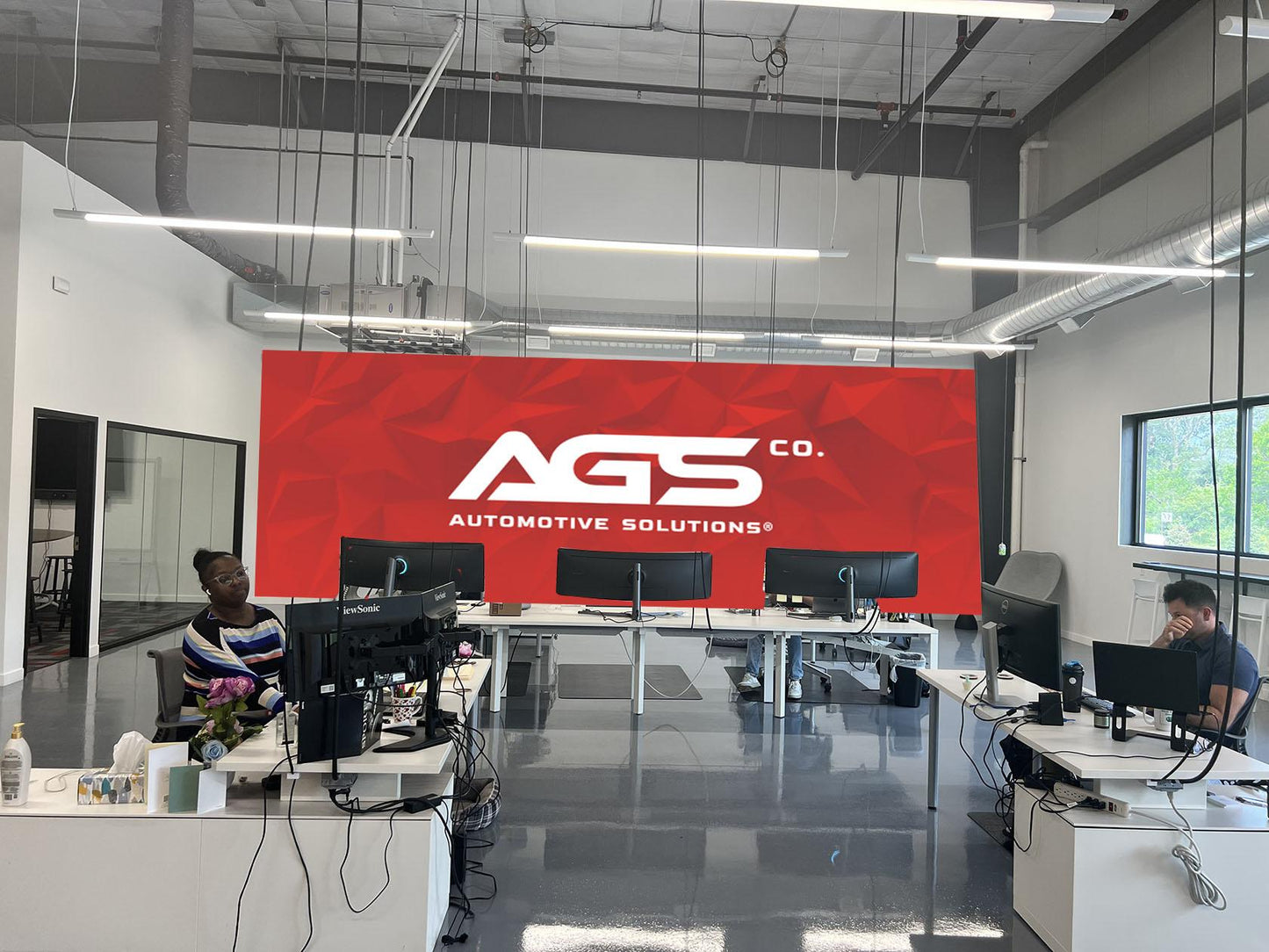 Wall Graphics - WallSkin®