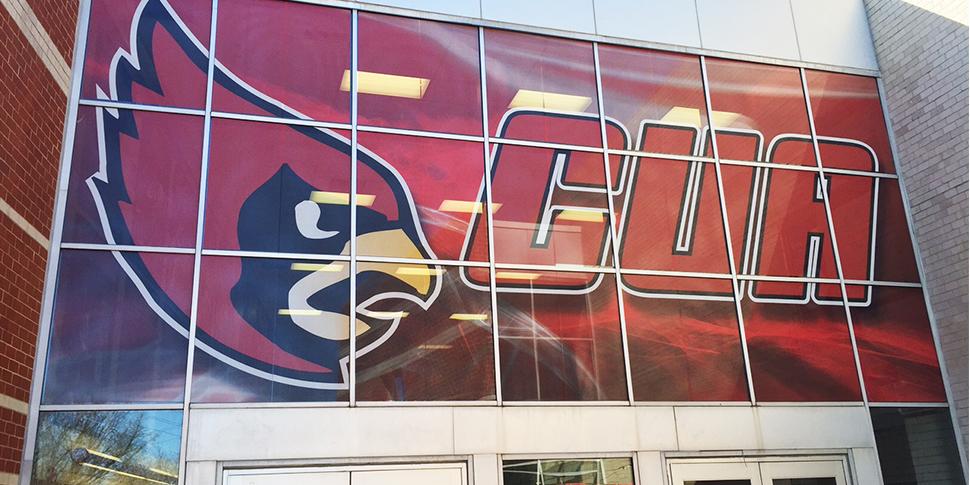 Window Graphics - Hockey - SafeView®