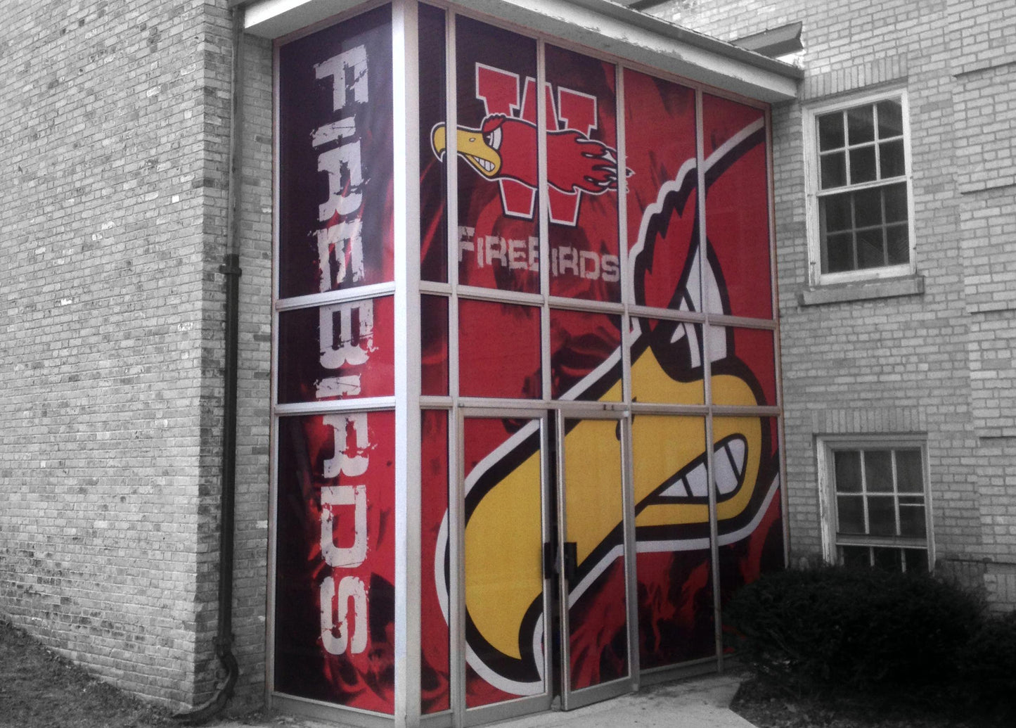 Window Graphics - School - SafeView®