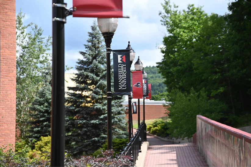 Mansfield University pole banners lining a campus walkway with trees and brick buildings in the background.