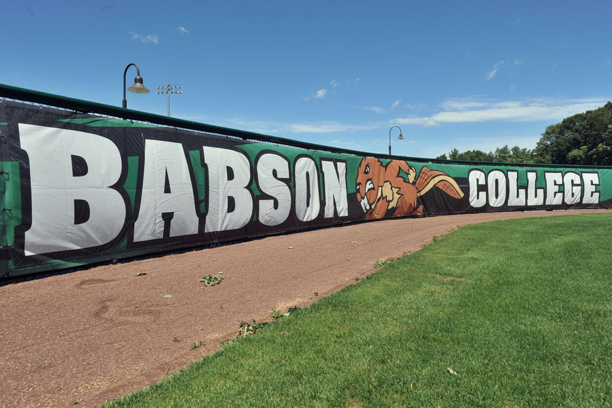 Baseball Windscreen for Schools, Parks & Athletic Facilities