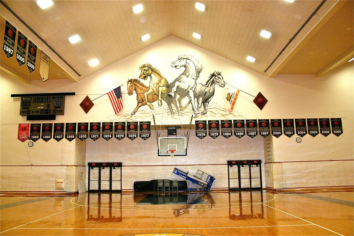 Delta State championship banner in gym setting, honoring team victories and showcasing athletic tradition and excellence.