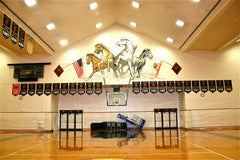 Delta State championship banner in gym setting, honoring team victories and showcasing athletic tradition and excellence.