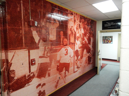 Locker Room Graphics - Hockey
