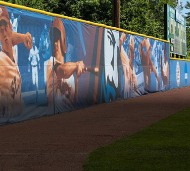 Best Graphics And  Branding Flexibility