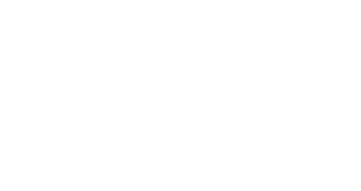Logo Rug®