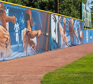 Multi-Sport Complexes