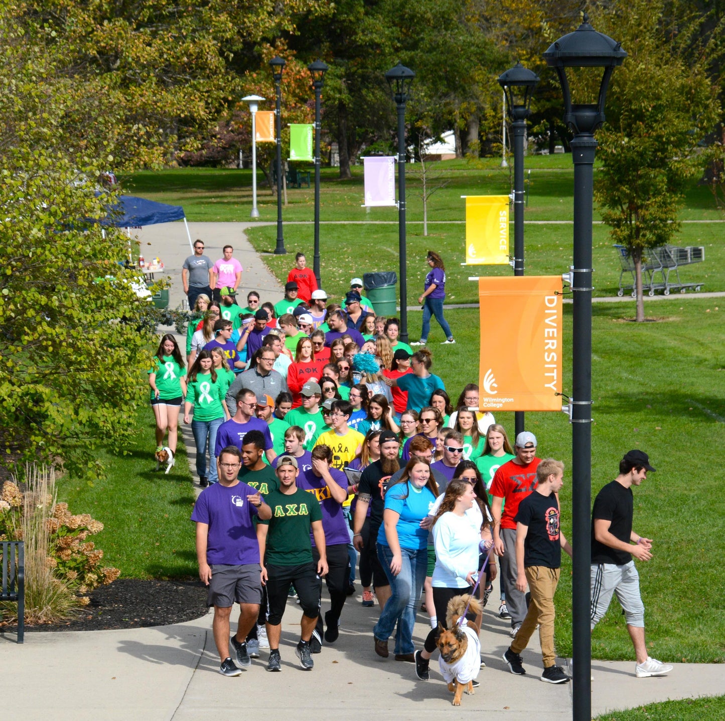 Pole Banners - Hurricane®