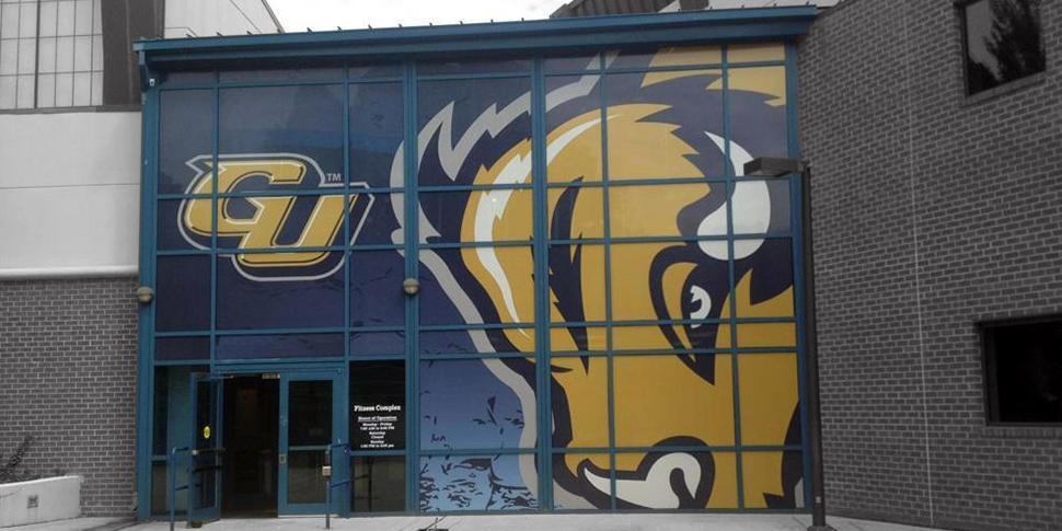 Window Graphics