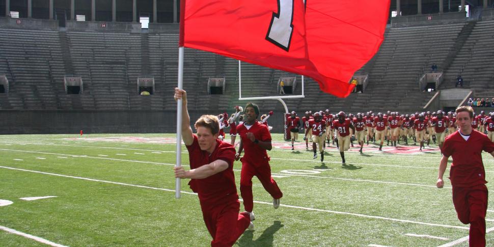 Field Runner Flag