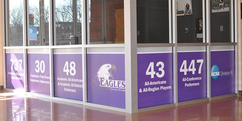 Window Graphics