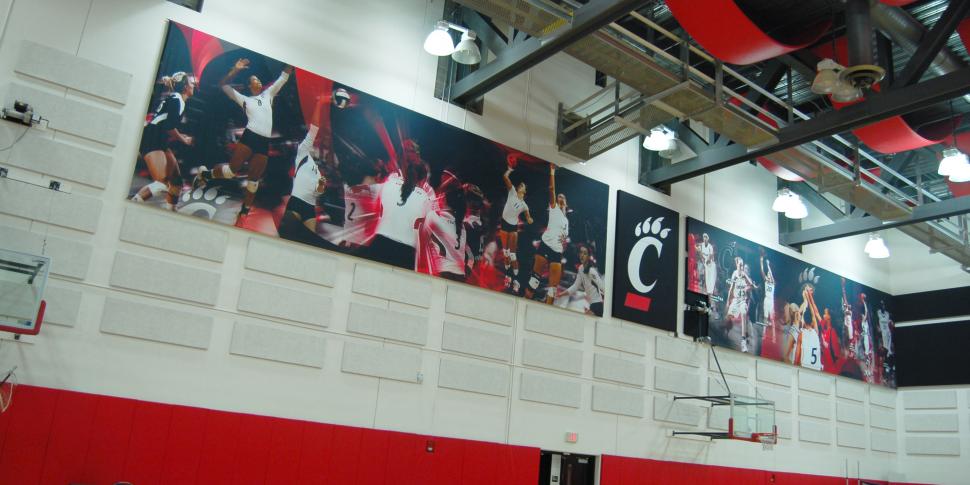 Gym Graphics