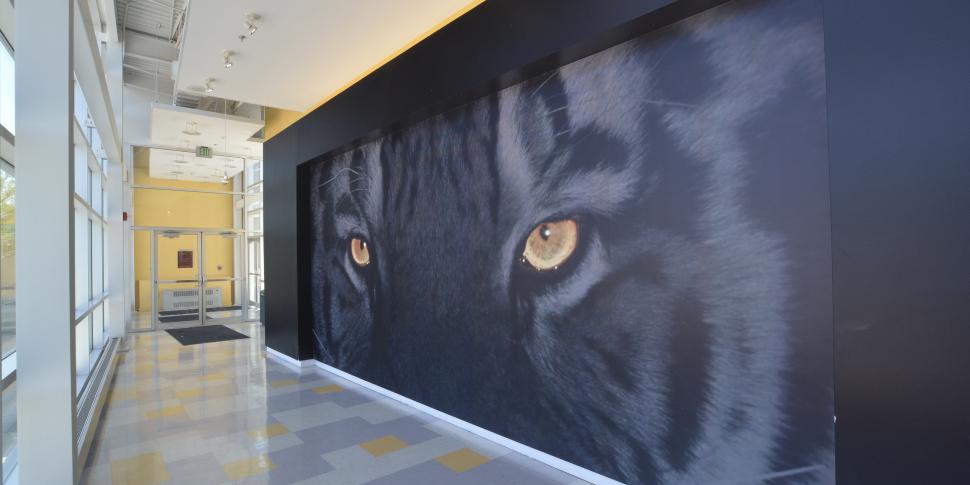 Towson University Bigsigns Com