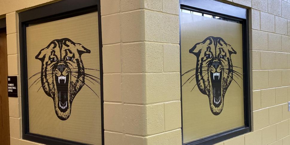 Window Graphics