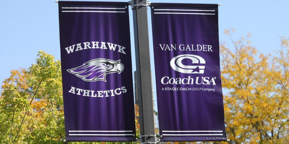 Pole Banners