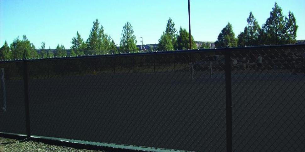 Athletic Windscreen