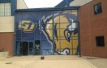 Window Graphics