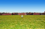 Fence Graphics